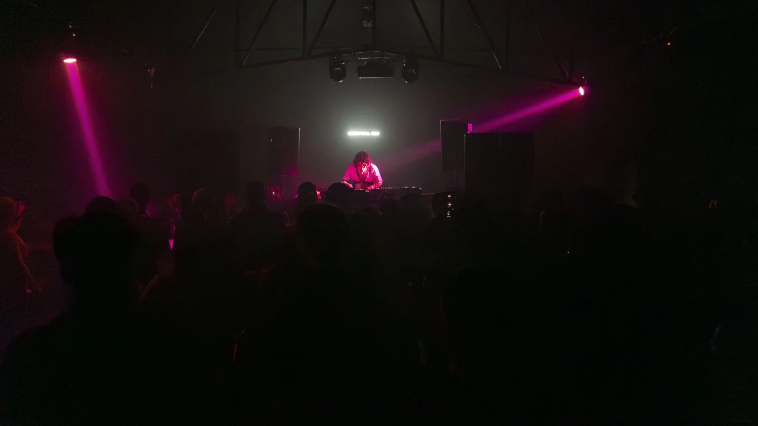Gohtobi performing before a crowd under magenta lights